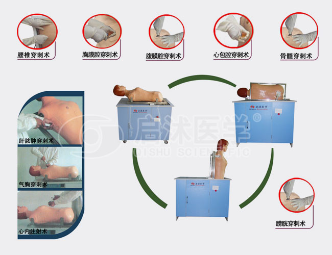 高级全自动多种穿刺叩诊电脑模型人