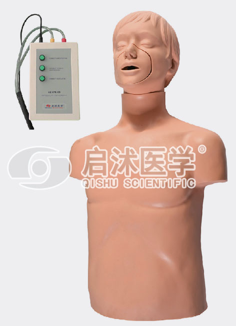 CPR169 高级成人气道梗塞和CPR模型