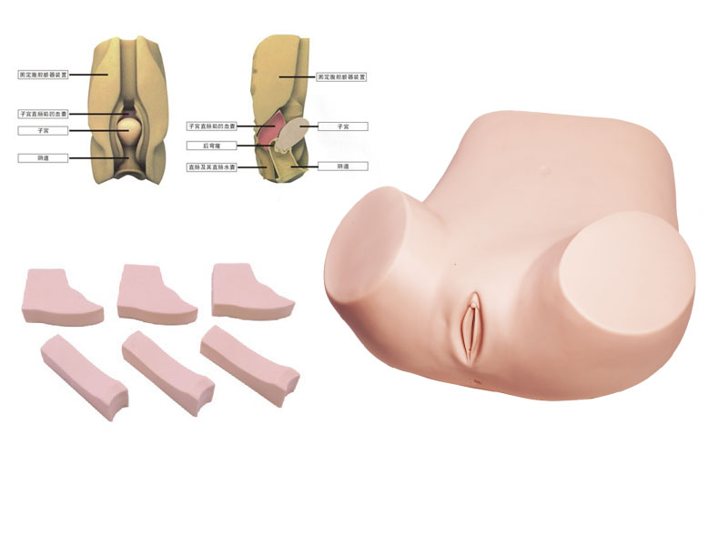 F51 阴道后穹窿穿刺模型,阴道后穹窿穿刺监测考核指导模型