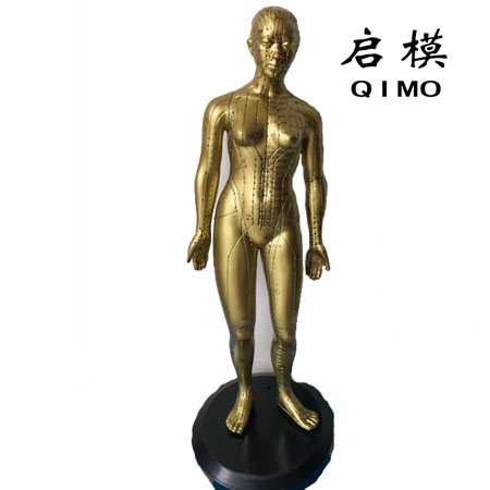 针灸铜人模型（女性48cm）